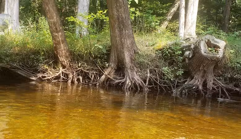 Briley Township Park - Atlanta,