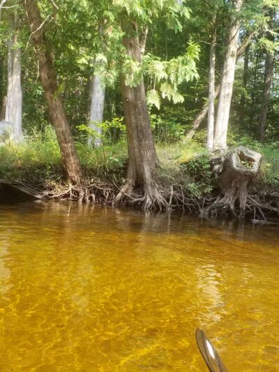 Briley Township Park - Atlanta,