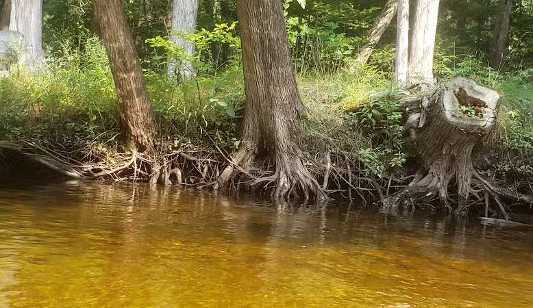 Briley Township Park - Atlanta,