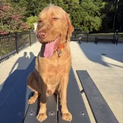 Brookhaven Park - Atlanta, GA