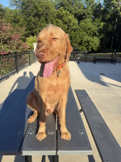 Brookhaven Park - Atlanta, GA