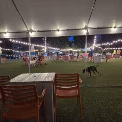 Fetch Park Buckhead - Atlanta, GA