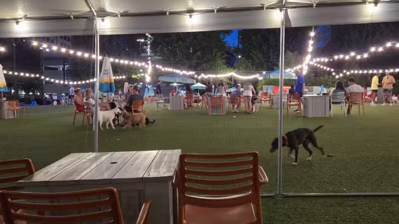 Fetch Park Buckhead - Atlanta, GA