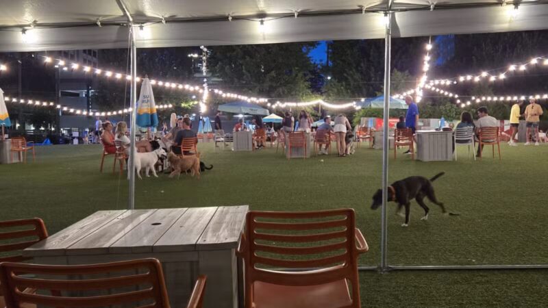 Fetch Park Buckhead - Atlanta, GA