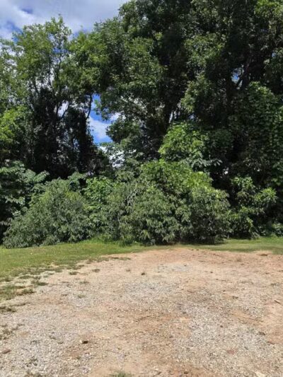 Freedom Barkway Dog Park - Atlanta, GA