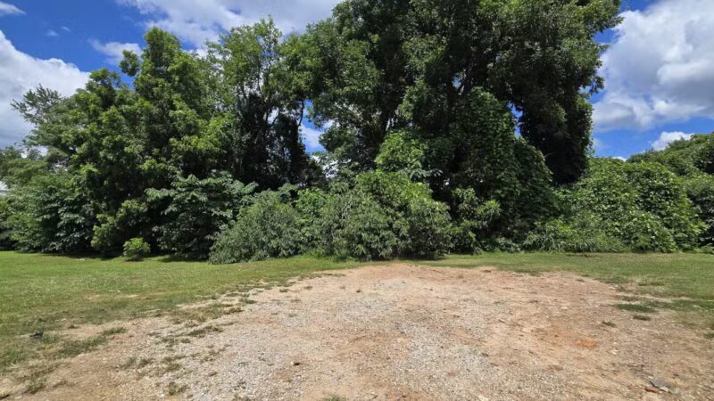 Freedom Barkway Dog Park - Atlanta, GA