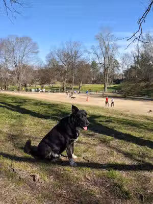 Brookhaven Park - Atlanta, GA