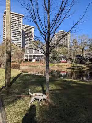 Duck Pond Park - Atlanta, GA