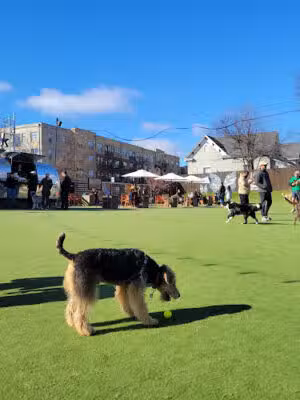 Fetch Park O4W - Atlanta, GA