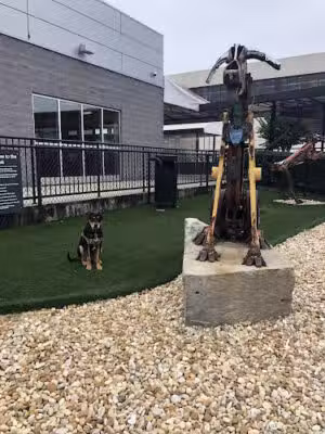 Hartsfield-Jackson Dog Park - Atlanta, GA