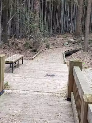 Indian Creek Park - Atlanta, GA