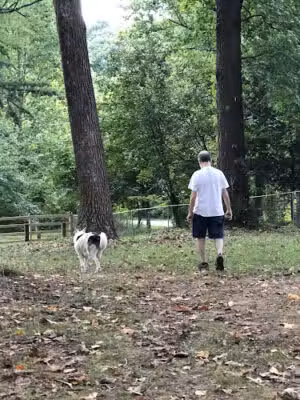 Kirkwood Dog Park - Atlanta, GA