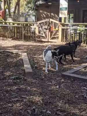 ParkGrounds - Atlanta, GA