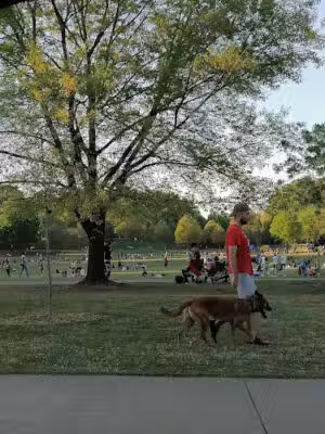Piedmont Park - Atlanta, GA