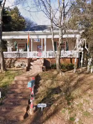 The Furry Cabbage - Atlanta, GA