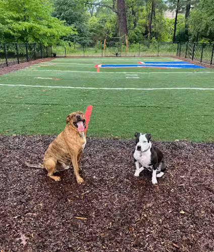 Zeno's Backyard Bark Park - Atlanta, GA
