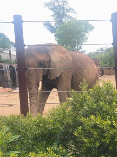 Grant Park - Atlanta, GA