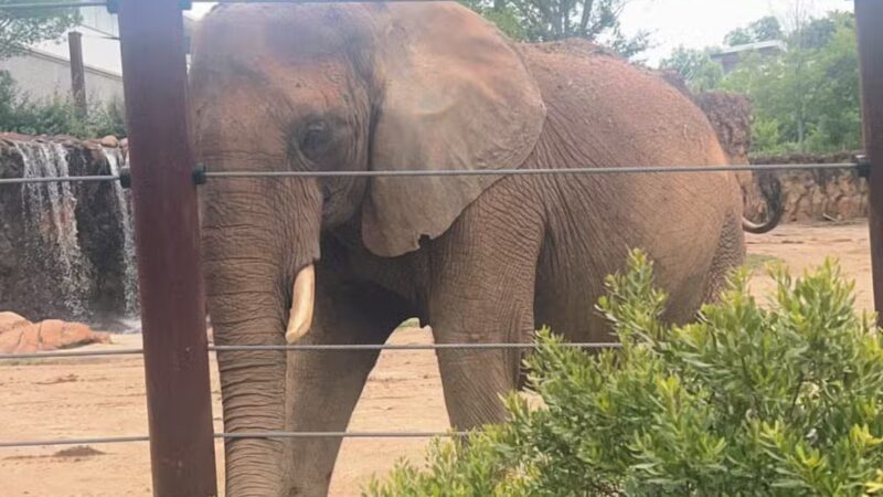 Grant Park - Atlanta, GA