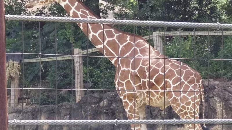 Grant Park - Atlanta, GA