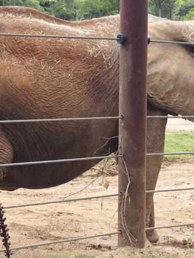 Grant Park - Atlanta, GA