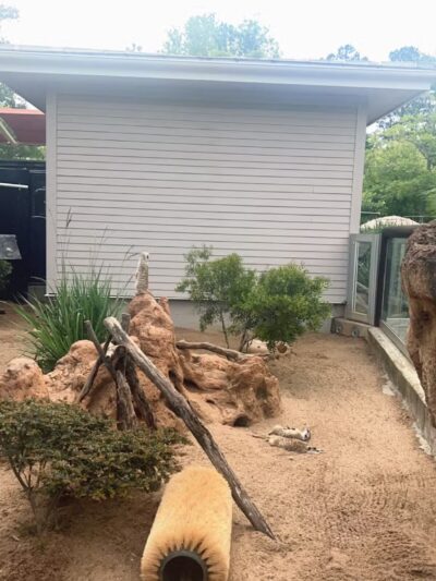 Grant Park - Atlanta, GA