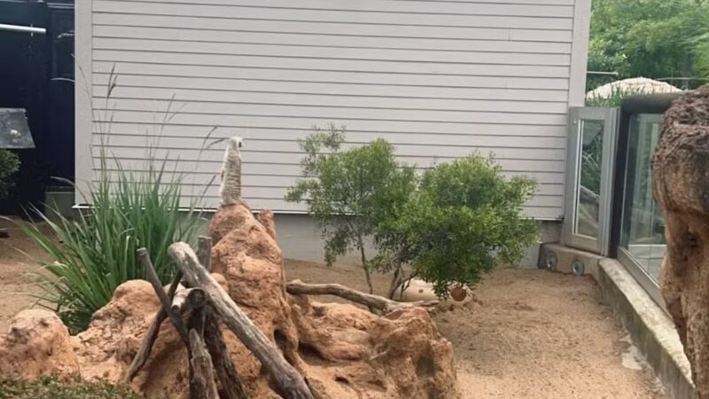 Grant Park - Atlanta, GA