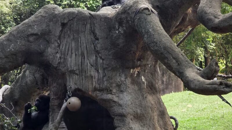 Grant Park - Atlanta, GA