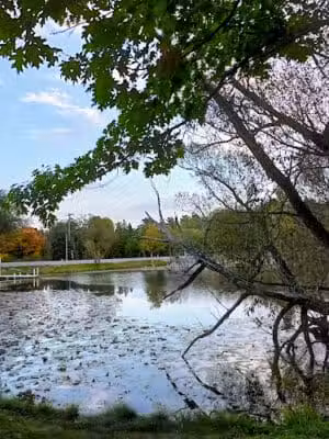 Atlanta Park - Atlanta,