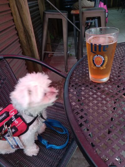 ParkGrounds - Atlanta, GA