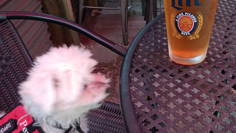 ParkGrounds - Atlanta, GA