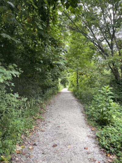 Piedmont Park - Atlanta, GA