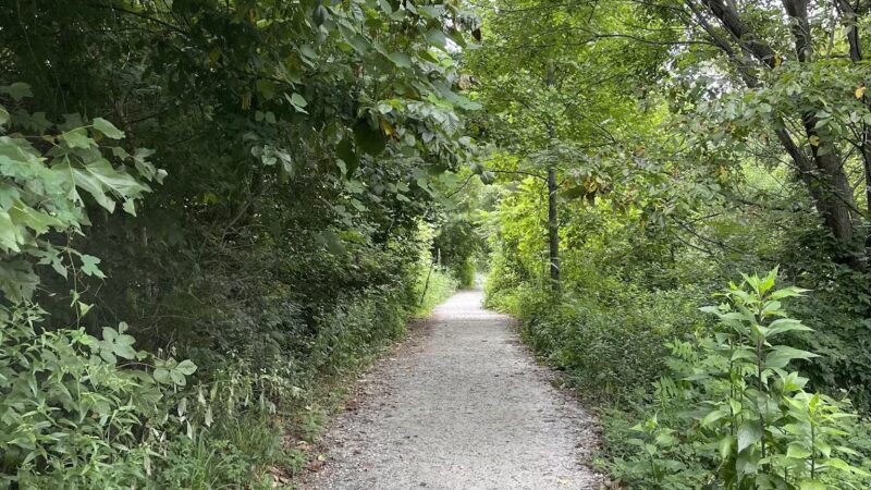 Piedmont Park - Atlanta, GA