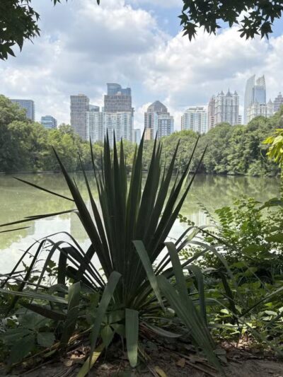 Piedmont Park - Atlanta, GA