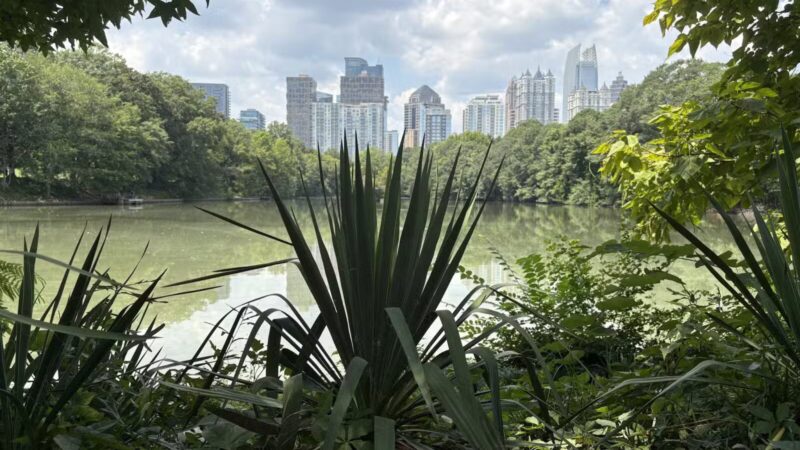 Piedmont Park - Atlanta, GA