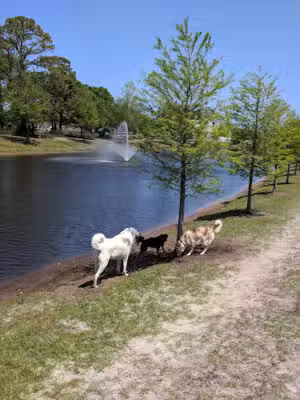 Atlantic Beach Dog Park (Members Only) - Atlantic Beach, FL