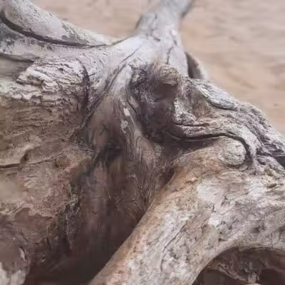 Sandy Public Beach - Au Train, MI