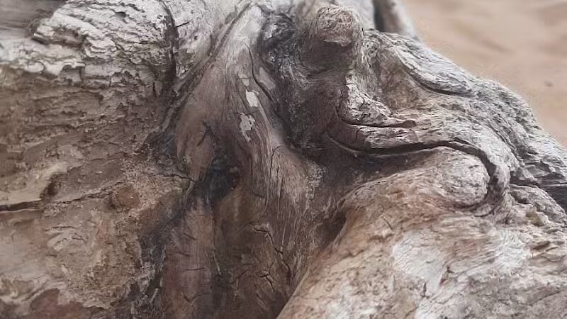 Sandy Public Beach - Au Train, MI