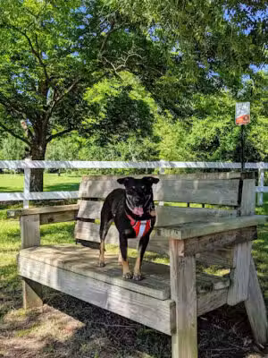 Kiesel Park - Auburn, AL