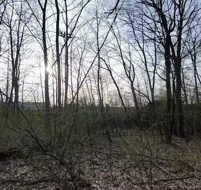 Auburn Hills Multi Sports Field - Auburn Hills,