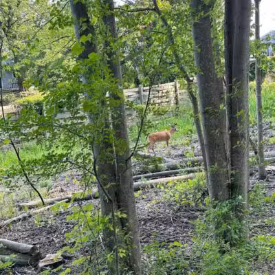 Clinton River Trail - Auburn Hills,