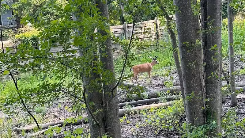 Clinton River Trail - Auburn Hills,