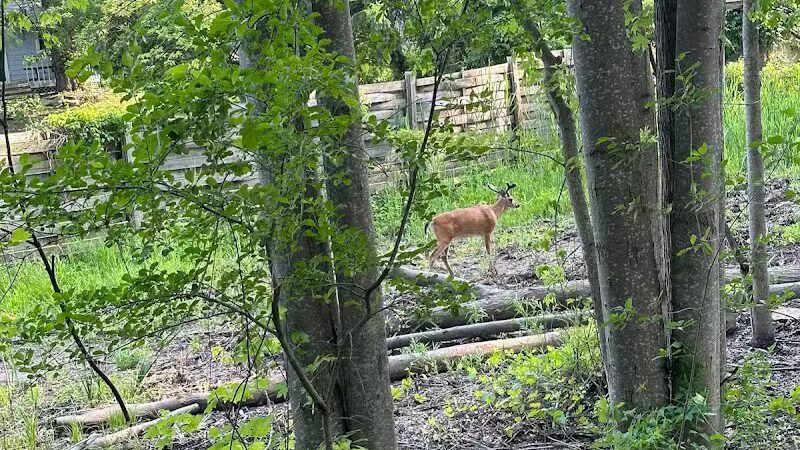 Clinton River Trail - Auburn Hills,