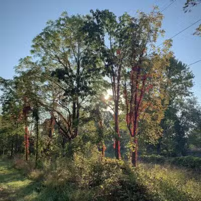 Clinton River Trail - Auburn Hills,