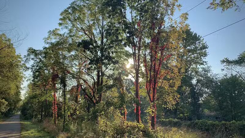 Clinton River Trail - Auburn Hills,