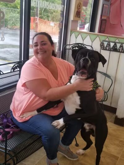 Emmy's Pampered Pooch - Auburn Hills,