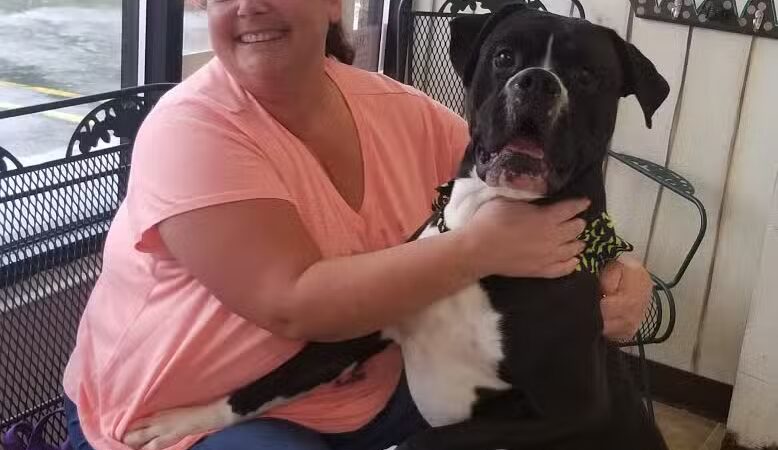 Emmy's Pampered Pooch - Auburn Hills,