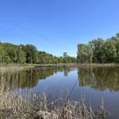 Hawk Woods Park and Campground - Auburn Hills,