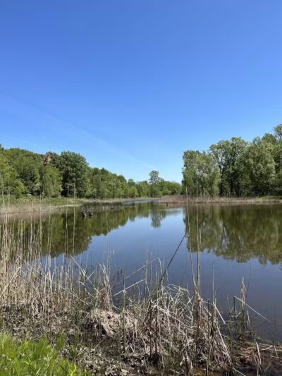 Hawk Woods Park and Campground - Auburn Hills,