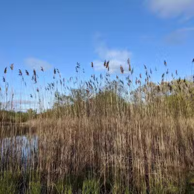 Hawk Woods Park and Campground - Auburn Hills,