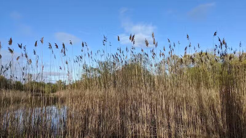 Hawk Woods Park and Campground - Auburn Hills,
